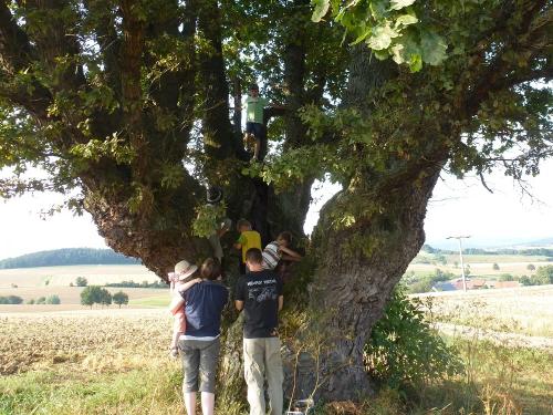 wunschbaum_wanderung