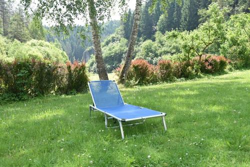 Spiel- und Liegewiese