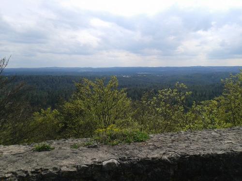 Blick von der Burgrunine