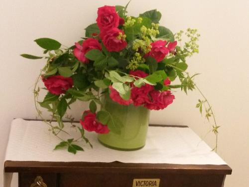 duftende Rosen duftende Rosen