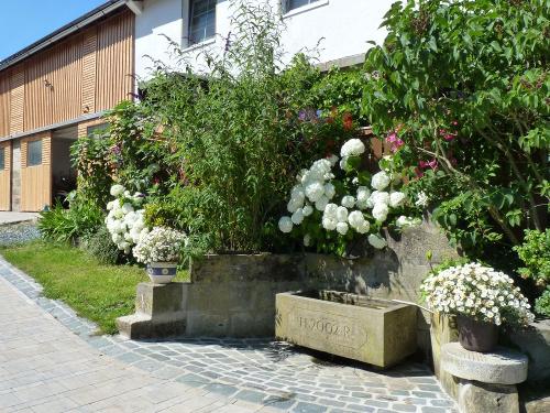 13 Ferienhof Lochau -Hofeindrücke