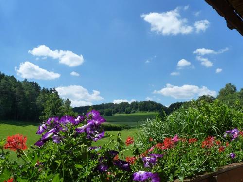 20ferienhoflochau-blickvombalkon-klein