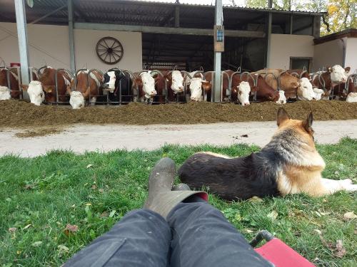 Nach der Stallarbeit