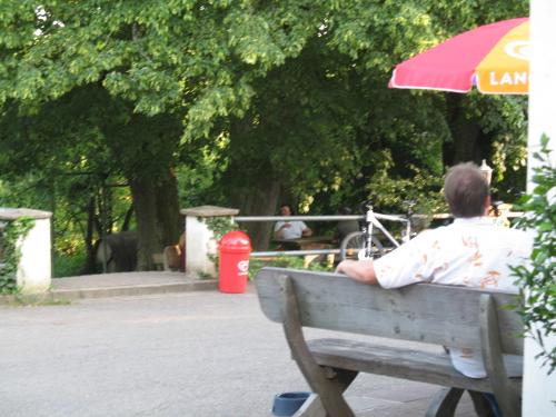Blick in den Biergarten