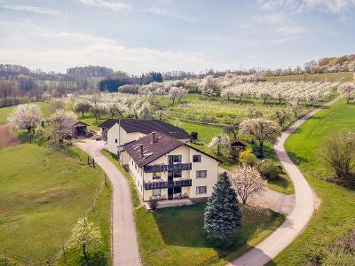 Unser Hof in der Kirschblüte