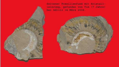 Weitere Funde von uns sind im Haus zu sehen.