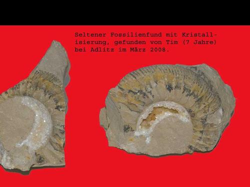 Weitere Funde von uns sind im Haus zu sehen.