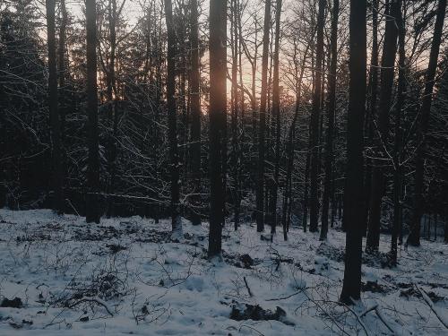 der Frankenwald vor Ihrer Ferienwohnung
