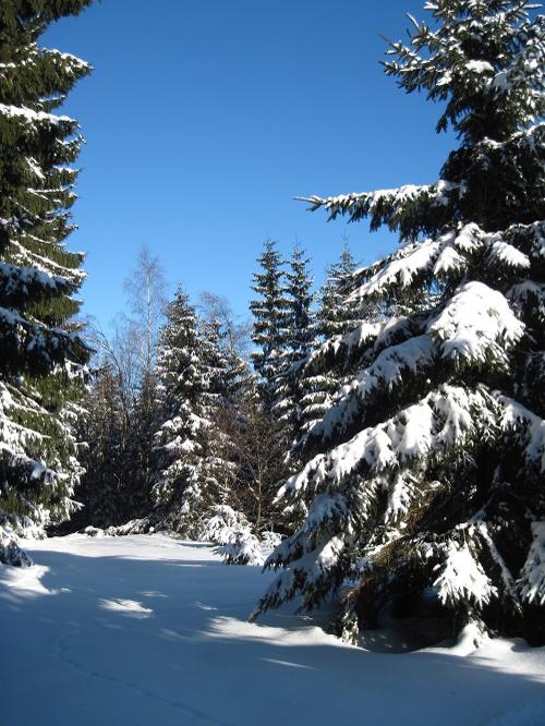 Winterlandschaft