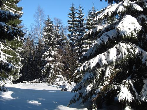 Winterlandschaft Winterlandschaft
