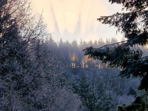 Winterwunderland Winterwunderland