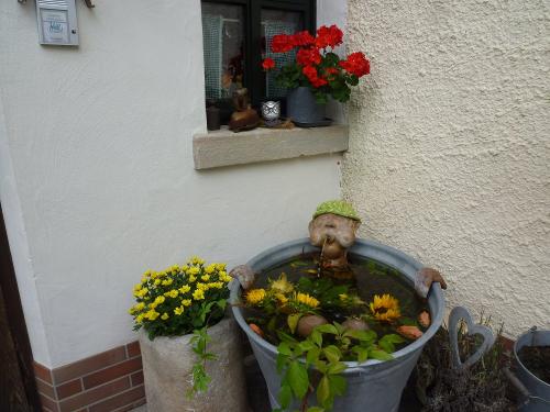 Kneippjaner