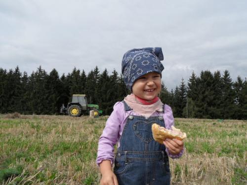 Ernten macht hungrig
