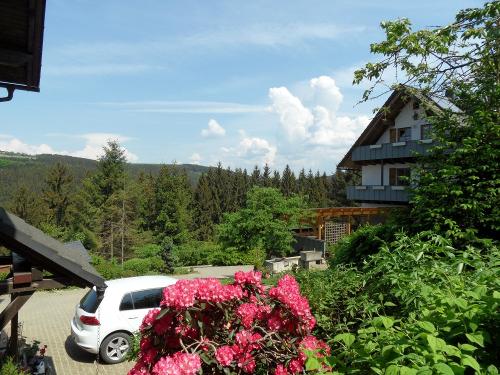 Der Hof in der Sommersonne