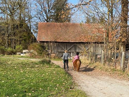 Spaziergang mit Pony