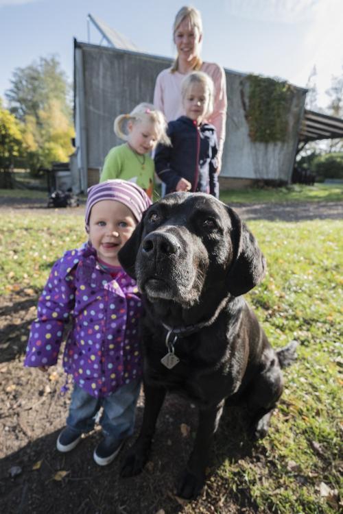 Birkenhof Hund