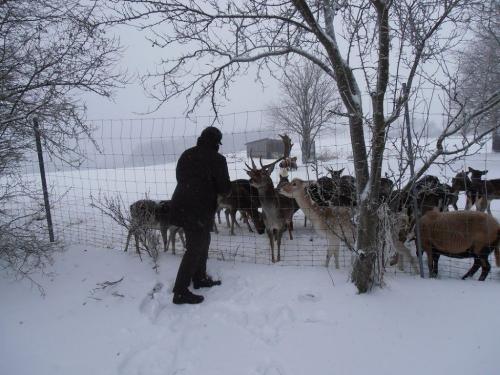 füttern im Winter-PC040074 füttern im Winter-PC040074