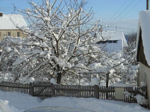 Winter Garten Winter Garten
