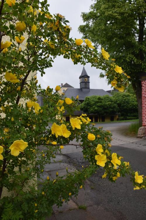 Blick auf Tanzboden durch Blumen