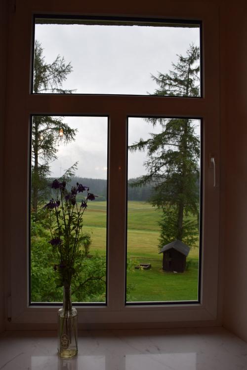Vergissmeinicht Blick aus Fenster