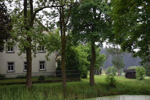 Blick auf Langhaus und Garten