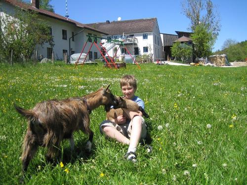img_3412 Max und die Geißlein