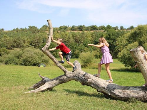 ferienhof-pfisterer_kletterbaum-bild  7