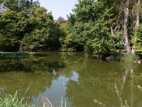Angelweiher