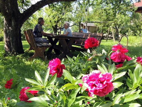 Sitzen Sie im Schatten der Obstbäume