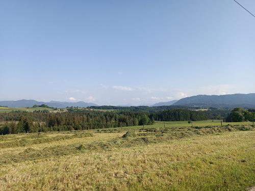 Ernte Sommer