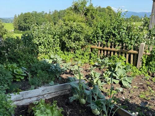 Bauerngarten