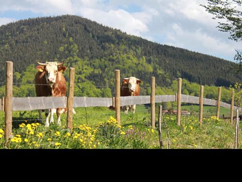 aktivelandwirtschaft