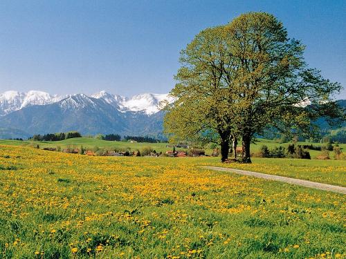 spazierwege