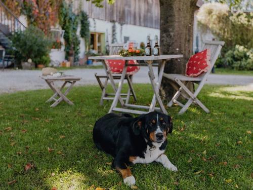 bernwieserhof-auen-10