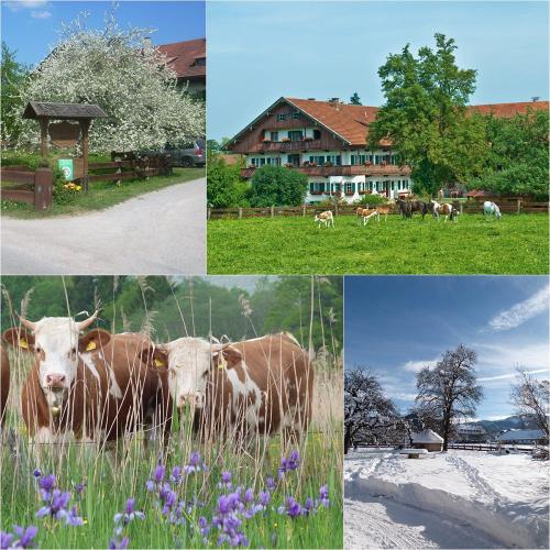Jahreszeiten