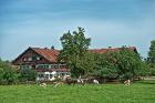 abrahamhof