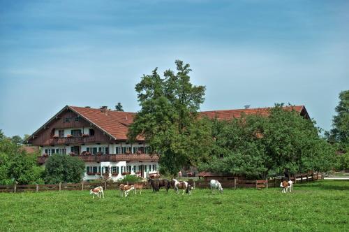 abrahamhof