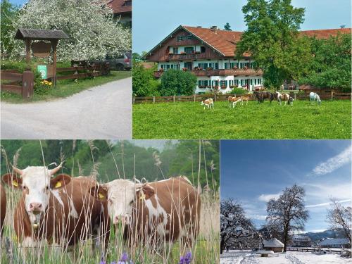 Jahreszeiten Jahreszeiten