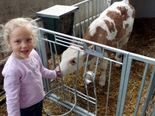 Laura beim Kalb
