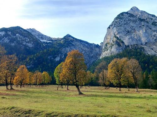 Eng Ahornboden neu Eng Ahornboden neu