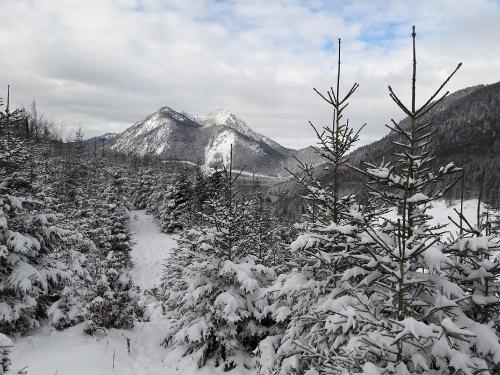 Winterlandschaft