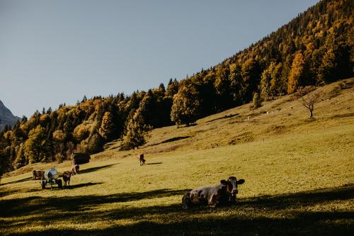 sachenbacher_oktober2019-137
