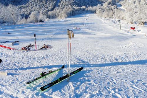 Hauseigener Skilift "Streidlhang"