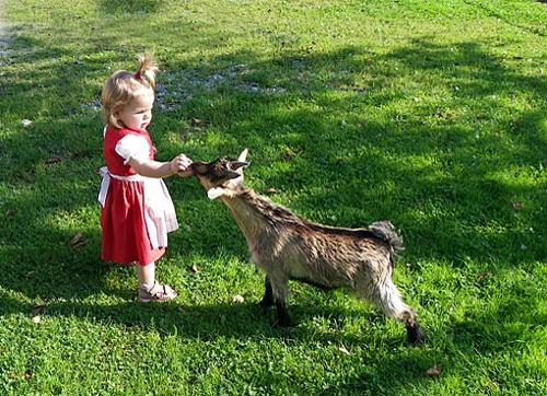 Tiere zum Anfassen