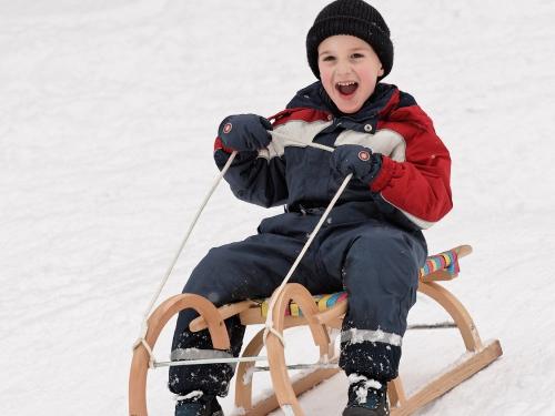 Schlittenfahren ist auch lustig!