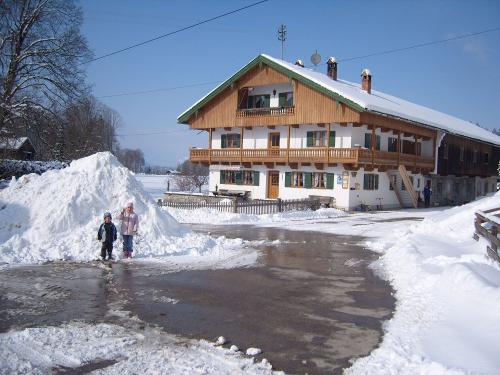 winter