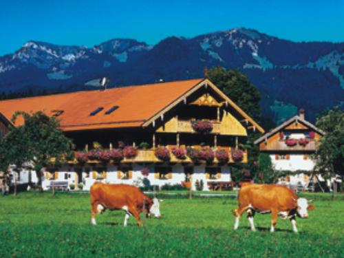Unser Hof