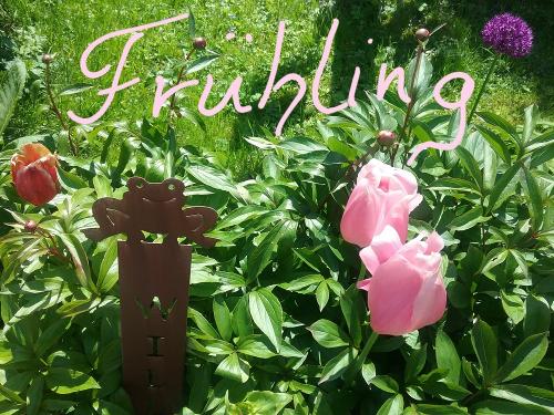 202102Frühling23_171403