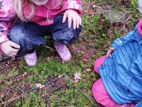 Erkundung im Wald