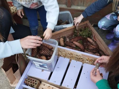 Wir bauen ein Insekten Hotel